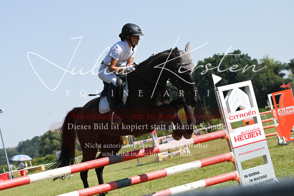 DSC_6374 | Pferde- und Turnierfotografie in Westsachsen. Pferdeportraits, Auftragszeichnungen und intuitive Kunst.