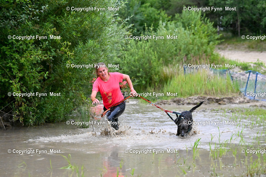 DSC_1536 | Hallo und herzlich Willkommen auf meiner Shop-Seite Fynn Most.

Ich wünsche Dir viel Spaß beim stöbern durch die Bilder, wenn Du Fragen hast oder Bilder vermisst, kannst du mir gerne eine Nachricht schreiben. - Realisiert mit Pictrs.com
