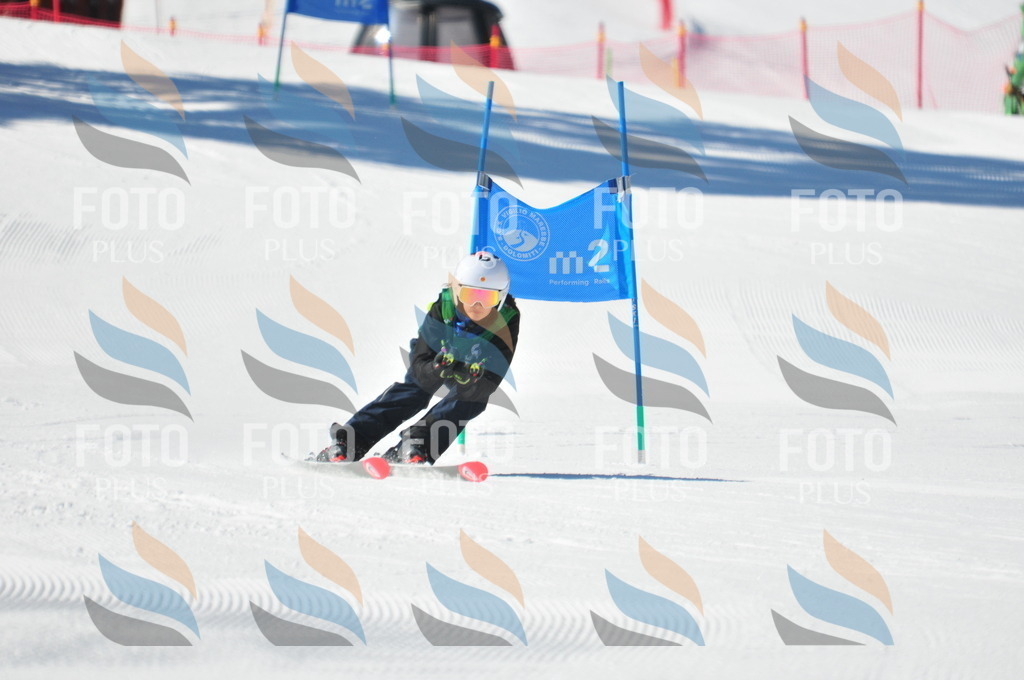 C3755 | holidayphoto