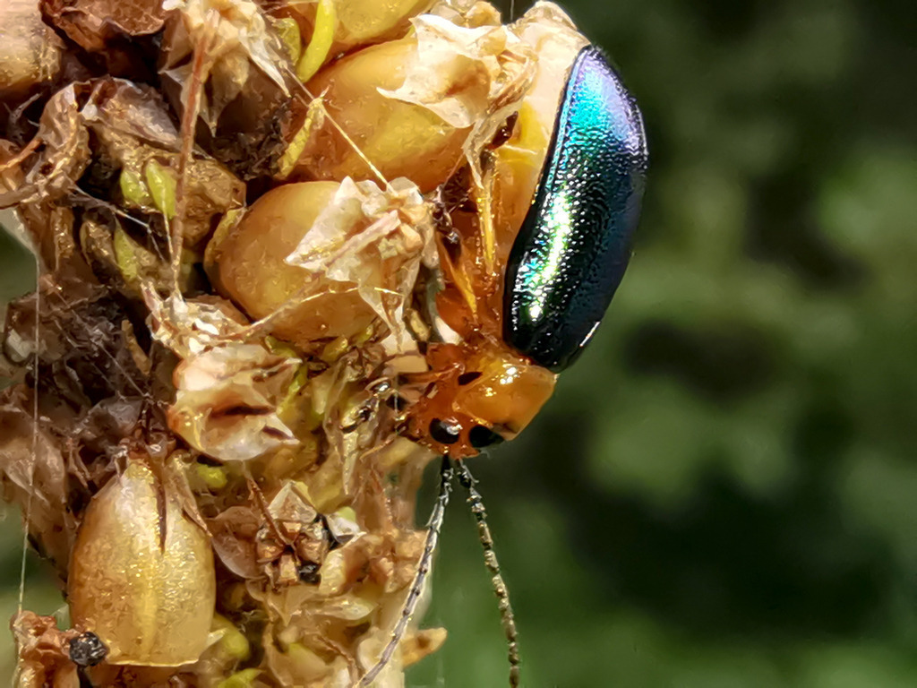 PSX_20230830_230624 | mtkfoto_ - Realisiert mit Pictrs.com