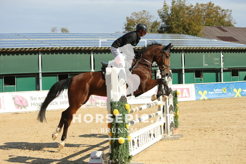 DL2Q4947 | Willkommen bei Brunnmayr - Design & Fotografie – Ihrem Spezialisten für Reitturniere und Pferdeveranstaltungen in Oberösterreich, Salzburg und Bayern! Seit über 17 Jahren sind wir leidenschaftlich dabei.