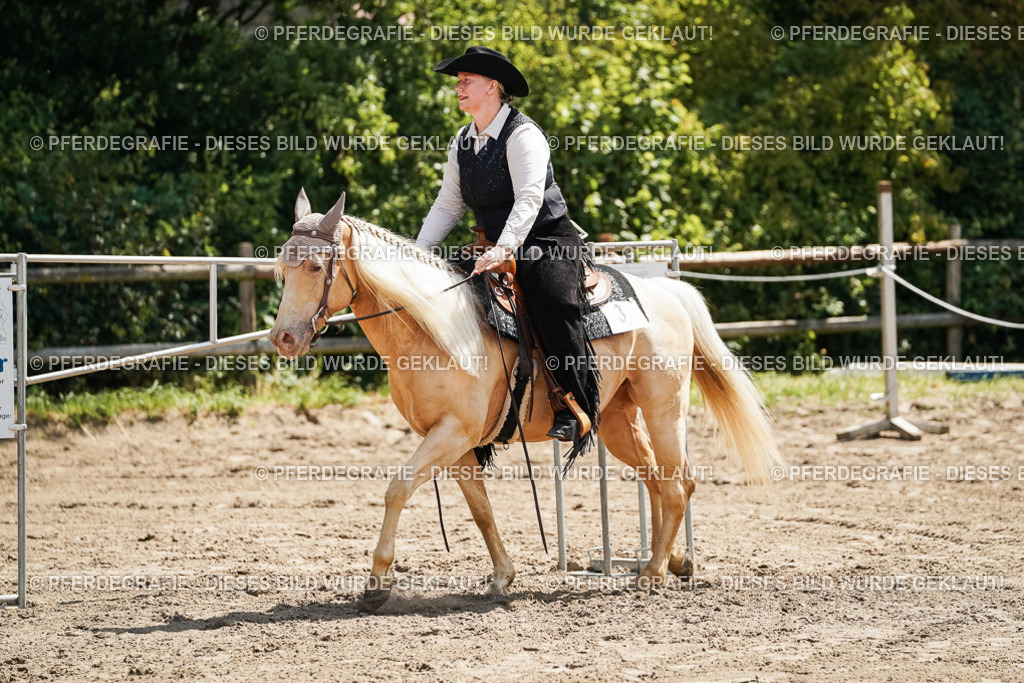 DSC07007 | Pferdegrafie