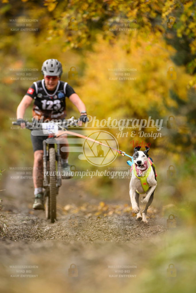MompixPhotography_ICF_WC_2024_SA_Bike_-101 | PayLife