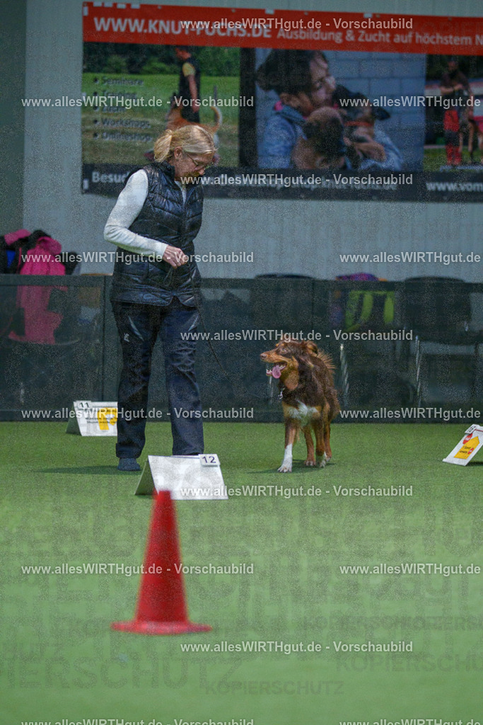 7R501354 | Professionelle Tierfotografie in Mönchengladbach von Daniel Wirth (allesWIRTHgut). Liebevolle & natürliche Bilder von Hunden & Katzen für unvergessliche Erinnerungen.