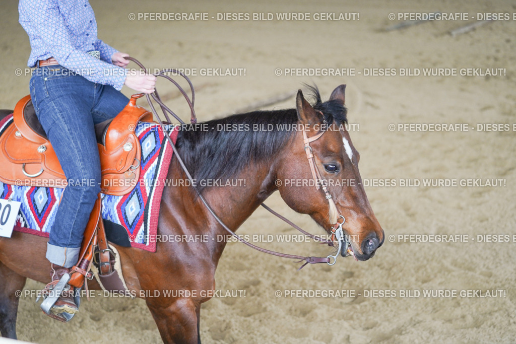 DSC03344 | Pferdegrafie