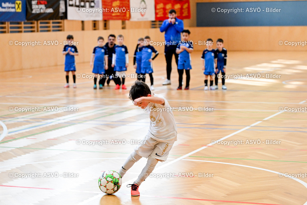 ASVÖ_ Fussballturnier SV Gallneukirchen_ 08.02.2025-104 | 08.02.2025, Gallneukirchen, AUT, ASVÖ, Fussball Nachwuchs Hallenturnier 2025, SV Gallneukirchen im Bild Teilnehmer U 7©Harald Dostal / fodo.media - Realisiert mit Pictrs.com