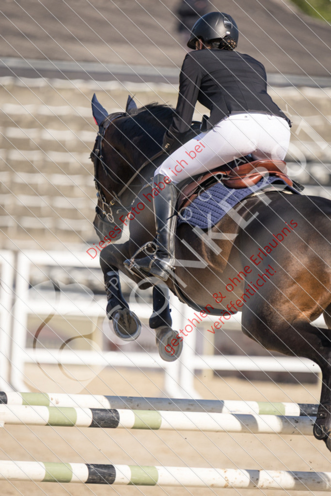 IMG_3335 | Sport-, Event- und Tierfotos in Profiqualität. Einfach auswählen, bestellen und herunterladen. Dein Moment – perfekt festgehalten.