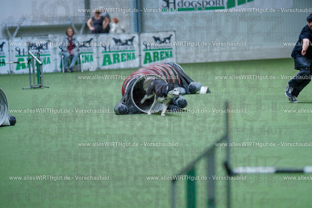 @allesWIRTHgut_Tierfotografie - www.allesWIRTHgut.de - 2604251549-7R506267 | Professionelle Tierfotografie in Mönchengladbach von Daniel Wirth (allesWIRTHgut). Liebevolle & natürliche Bilder von Hunden & Katzen für unvergessliche Erinnerungen.