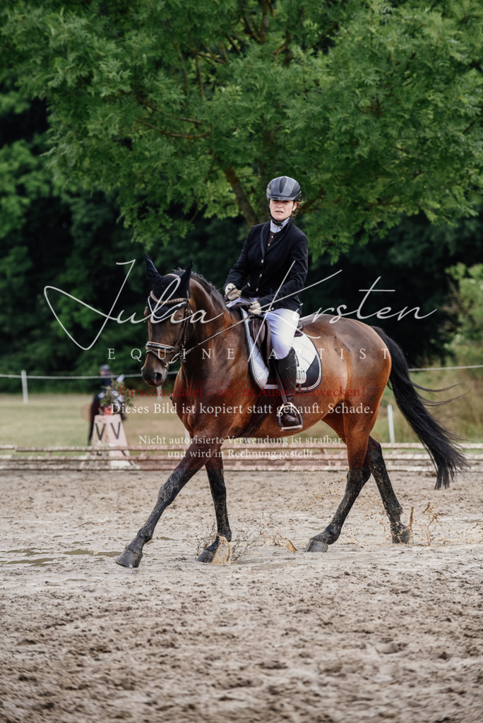 DSC_0782 | Pferde- und Turnierfotografie in Westsachsen. Pferdeportraits, Auftragszeichnungen und intuitive Kunst.