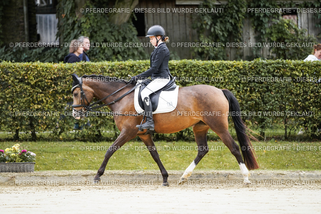 DSC04371 | Pferdegrafie