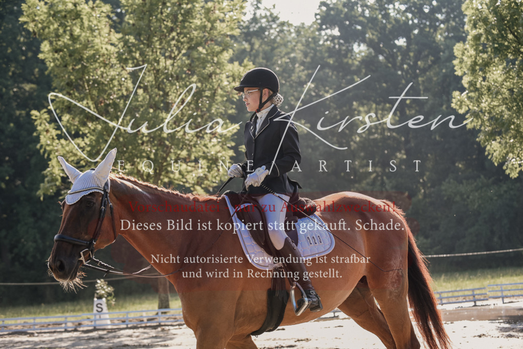 DSC_7752 | Pferde- und Turnierfotografie in Westsachsen. Pferdeportraits, Auftragszeichnungen und intuitive Kunst.