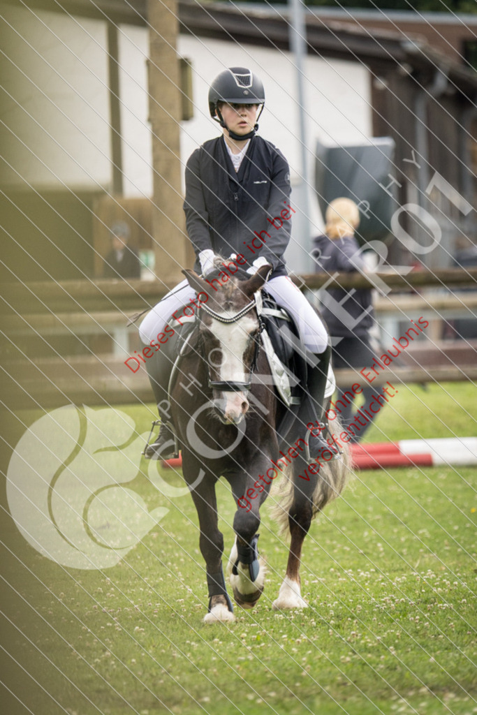 IMG_2709 | Sport-, Event- und Tierfotos in Profiqualität. Einfach auswählen, bestellen und herunterladen. Dein Moment – perfekt festgehalten.