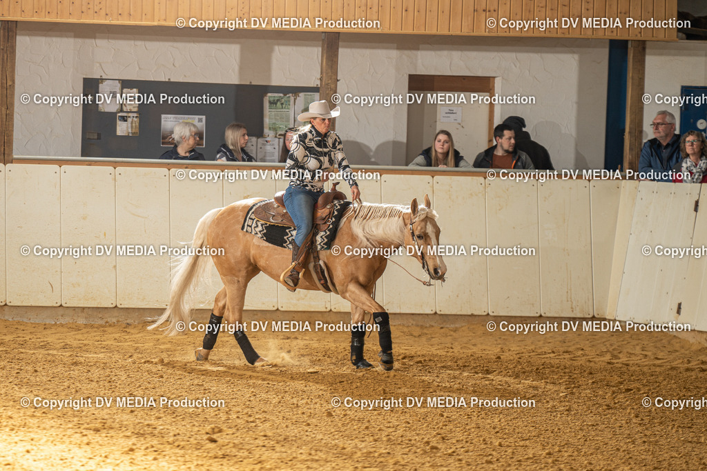 MIT01068 | dv-media-shop - Realisiert mit Pictrs.com