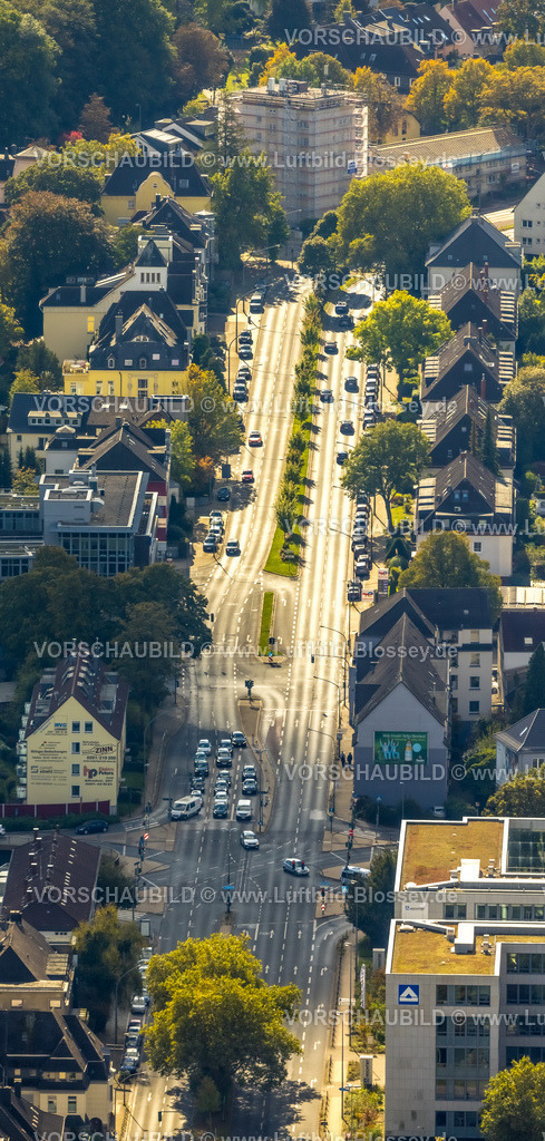 Essen241001762 | Luftbild, Alfredstraße Bundesstraße B224 zwischen Manfredstraße und Holunderweg, Bäume im Mittelstreifen,  Wohngebiet, Rüttenscheid, Essen, Ruhrgebiet, Nordrhein-Westfalen, Deutschland