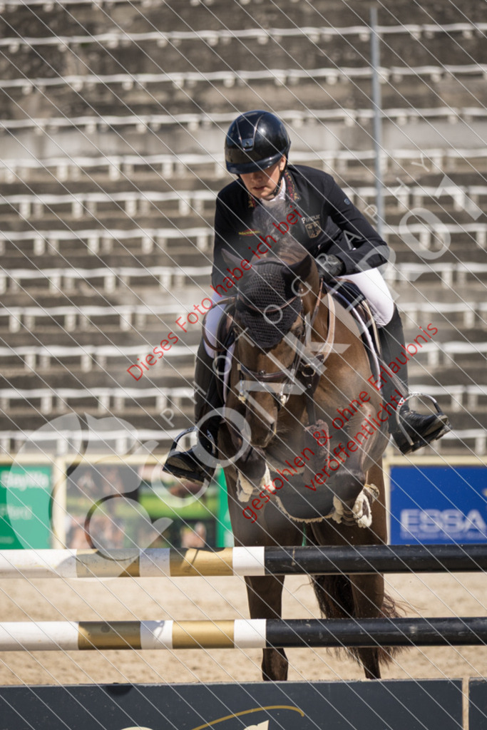 IMG_5311 | Sport-, Event- und Tierfotos in Profiqualität. Einfach auswählen, bestellen und herunterladen. Dein Moment – perfekt festgehalten.
