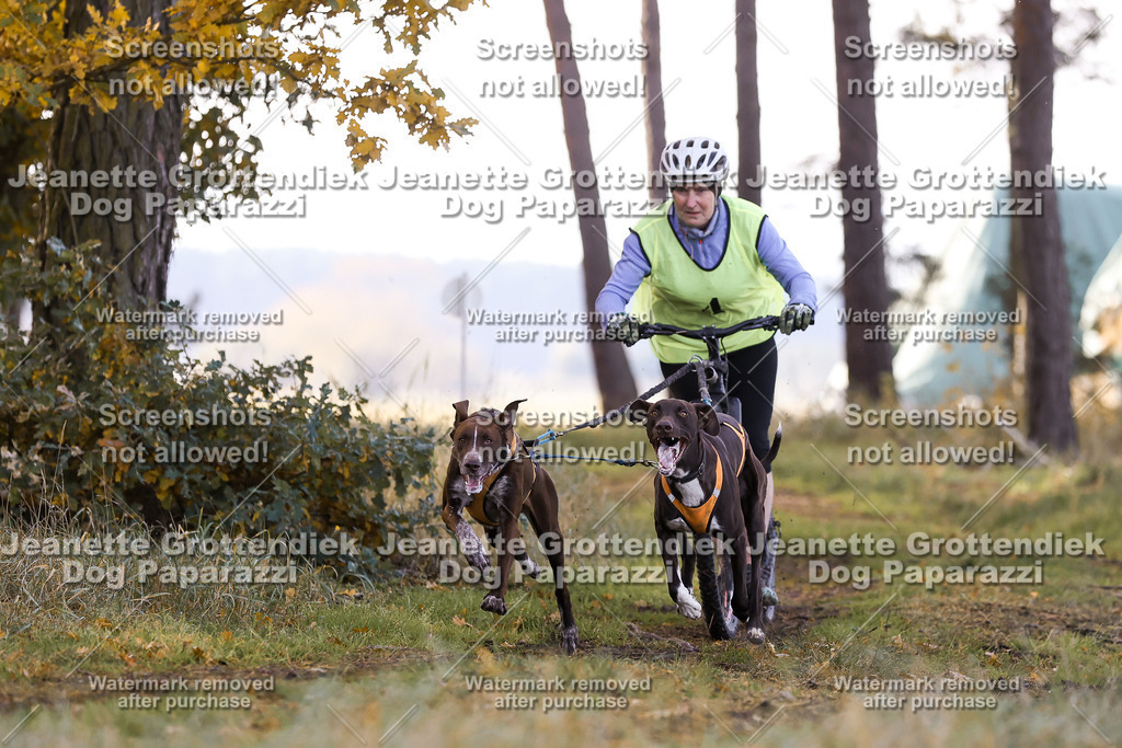 Dog Paparazzi - Elsholz 25 -46 | Dog Paparazzi Jeanette Grottendiek Fotografie & Videografie - Realisiert mit Pictrs.com