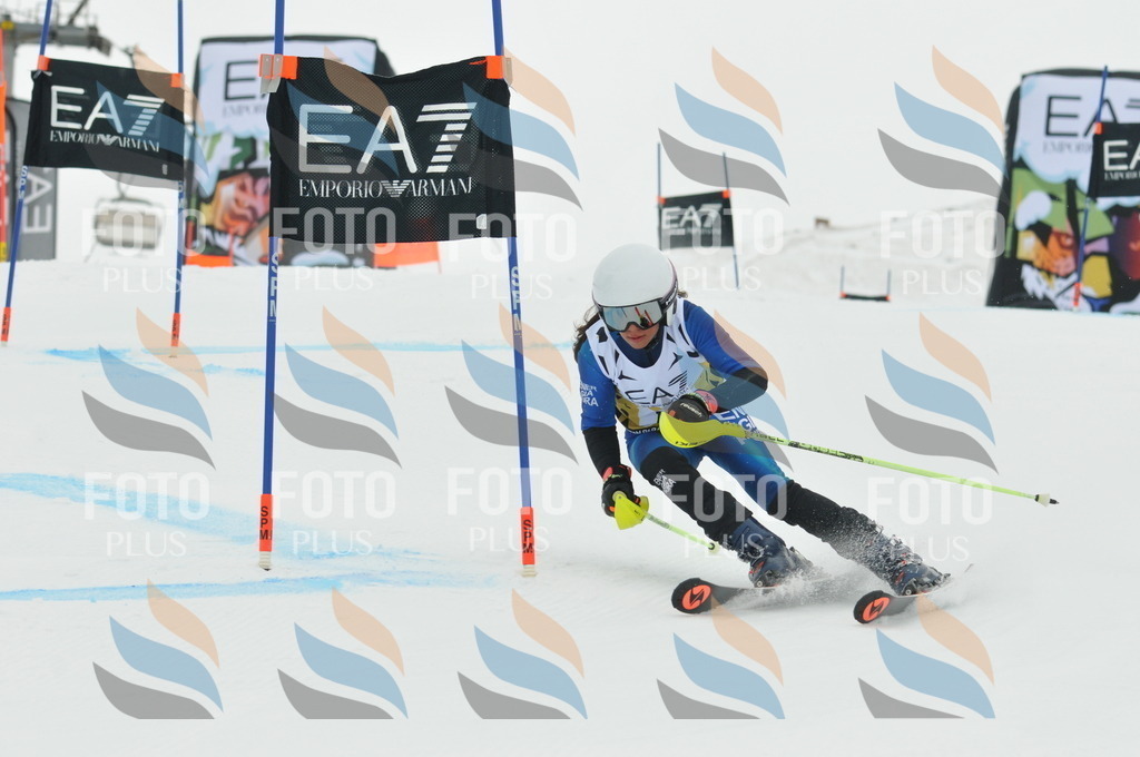 DSC_8168 | holidayphoto