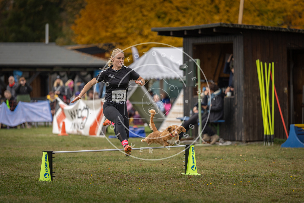 Pfotenfotografie_DV3A7210 | Hundefotografie, Tierfotograf, Pfotenfotografie, Fotoshooting Hund, Hunde Portrait, Hundesport, Hundeportraits, Heideshooting, Hunde, Sportfotograf, Hundefotograf, Turnierhundsport, THS,  - Realisiert mit Pictrs.com