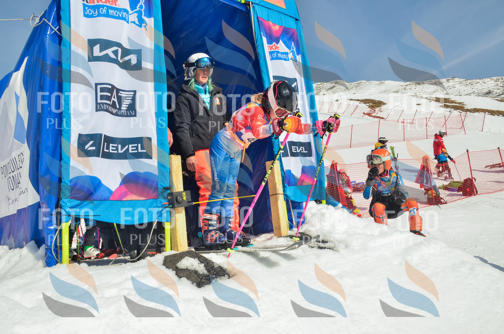 _ELE5168 | holidayphoto