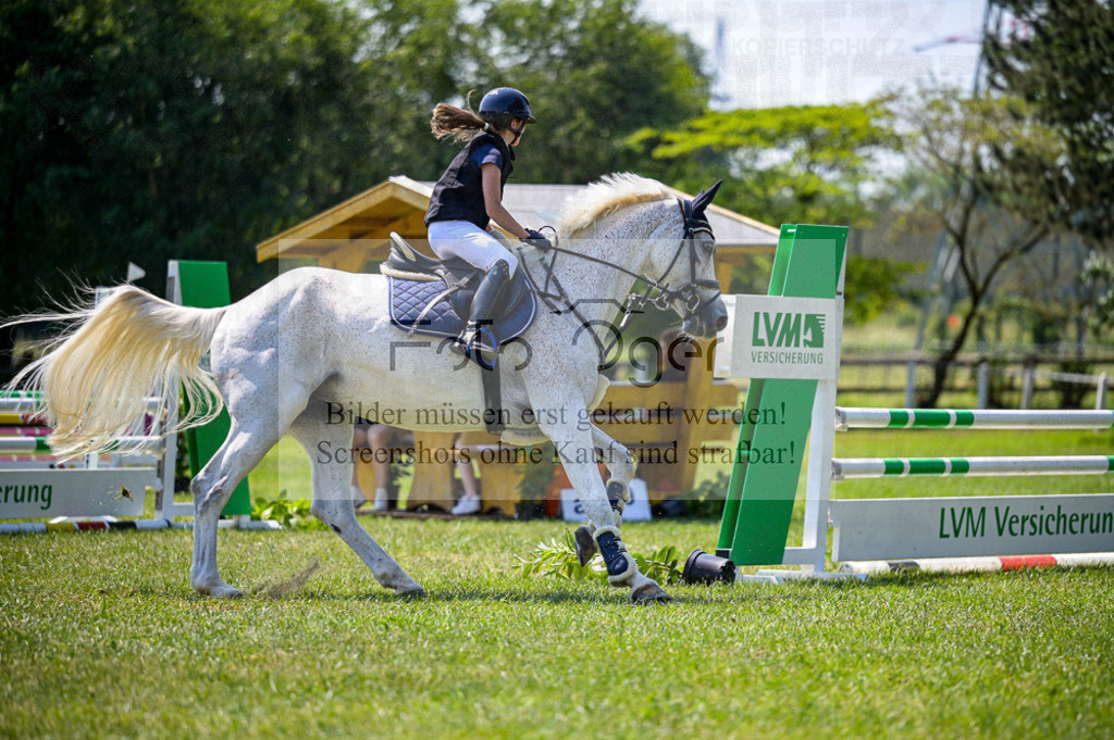 Reitturnier Voxtrup | Entdecke hochwertige Reitturnierfotos von Foto Oger. Professionell, emotional und authentisch – jetzt Lieblingsmomente im Shop bestellen.Deutschlandweite Turnierfotografie. - Realisiert mit Pictrs.com