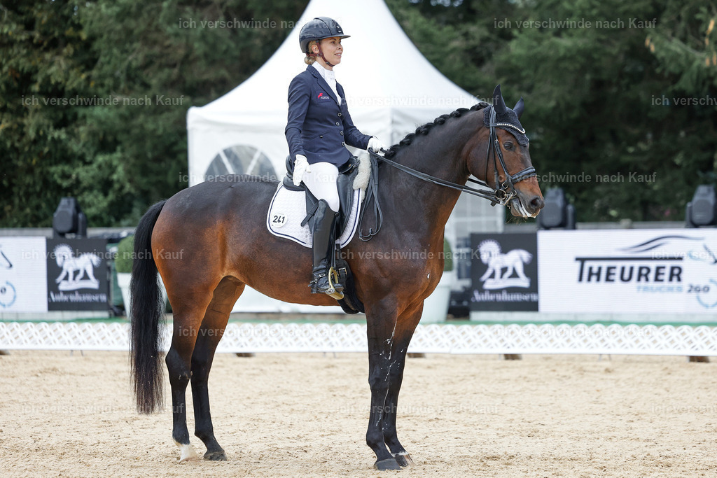 3-241-Dressur M_-StoibPH-2350 | working equitationturnier fotograf videograf stoibphotography marixx film working equitation deutschland reitsport turnierfotografie eventfotografie equestrian events