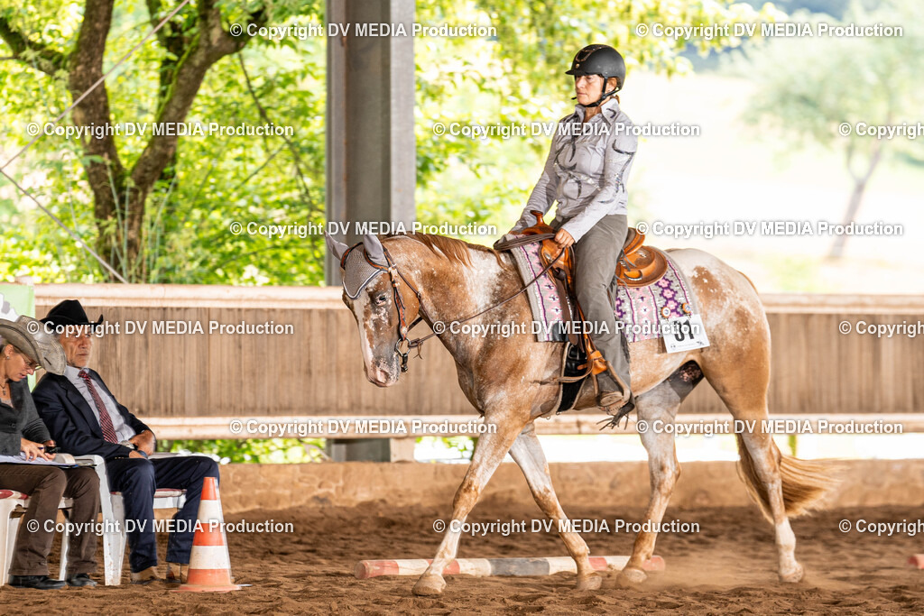 Erbach Tag 1-239 | dv-media-shop - Realisiert mit Pictrs.com