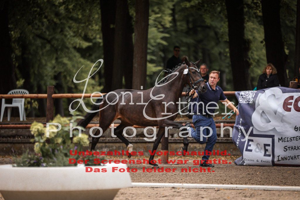 8.So00049 | Leoni Ertmer Photography - Realisiert mit Pictrs.com