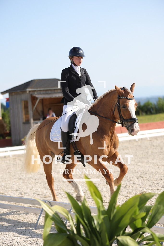 0P6A8892 | Willkommen bei Brunnmayr - Design & Fotografie – Ihrem Spezialisten für Reitturniere und Pferdeveranstaltungen in Oberösterreich, Salzburg und Bayern! Seit über 17 Jahren sind wir leidenschaftlich dabei.