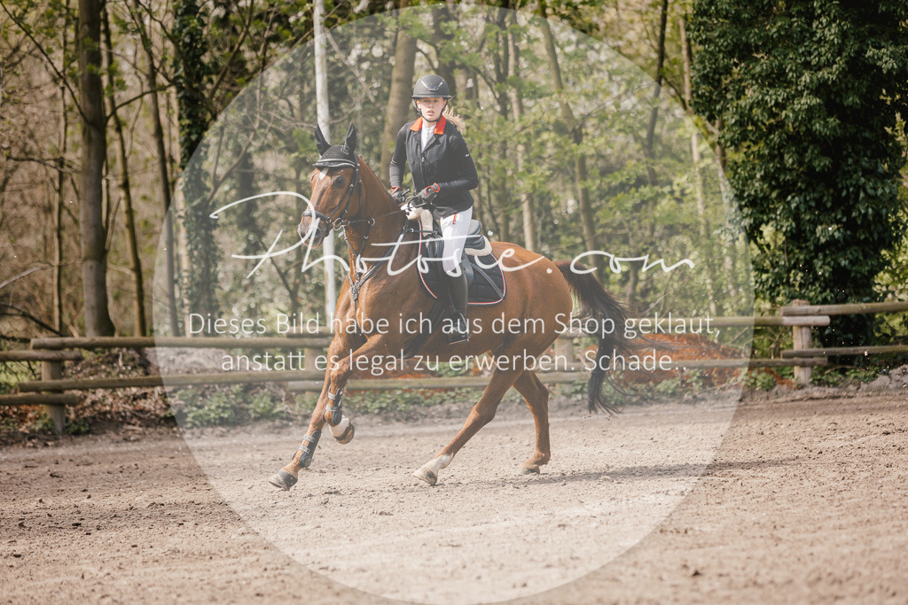 3I6A4189 | Stimmungsvolle Portraits und Reitsportfotografie im Ruhrgebiet und im Münsterland.

Pferdefotografie, Hundefotografie, Tierfotografie, Reportagen, Portraits von Tier und Mensch, Turnierfotografie in Bochum, Recklinghausen, Marl, Haltern am See, Dülmen.. - Realisiert mit Pictrs.com