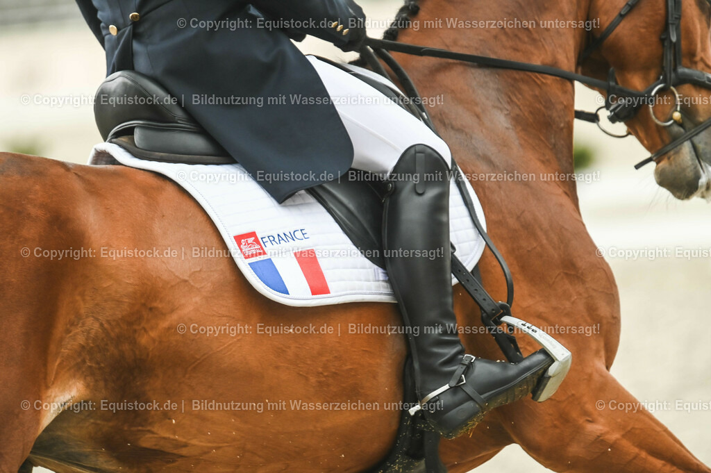 20230512_CCI4_Dressur_0355 | equistock