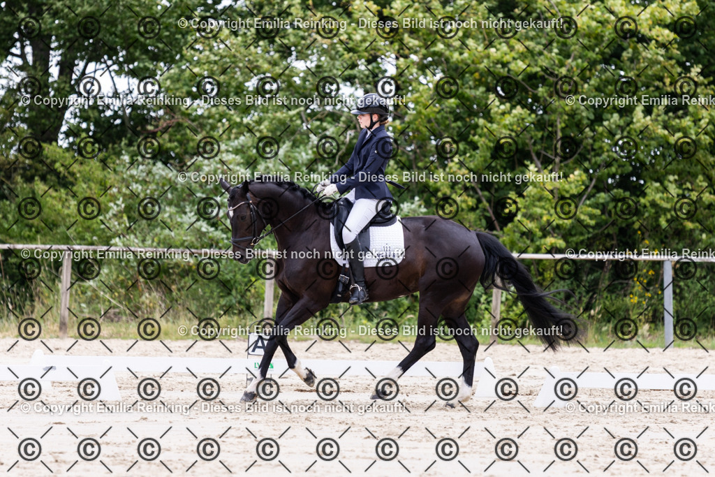 CL5A2060 | Emilia Reinking Fotografie - Realisiert mit Pictrs.com