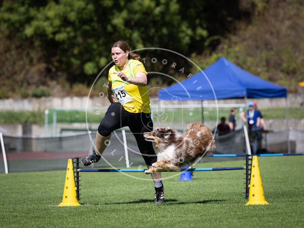Pfotenfotografie_DV3A5278 | Hundefotografie, Tierfotograf, Pfotenfotografie, Fotoshooting Hund, Hunde Portrait, Hundesport, Hundeportraits, Heideshooting, Hunde, Sportfotograf, Hundefotograf, Turnierhundsport, THS,  - Realisiert mit Pictrs.com