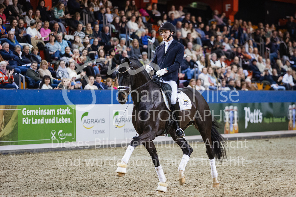 250108_Muenster_Hengstpräsentation-174 | Deine schönsten Turniermomente als professionelle Fotos! Entdecke hochwertige Pferdesport-Fotografie im Online-Shop. Jetzt Fotos finden & bestellen!
