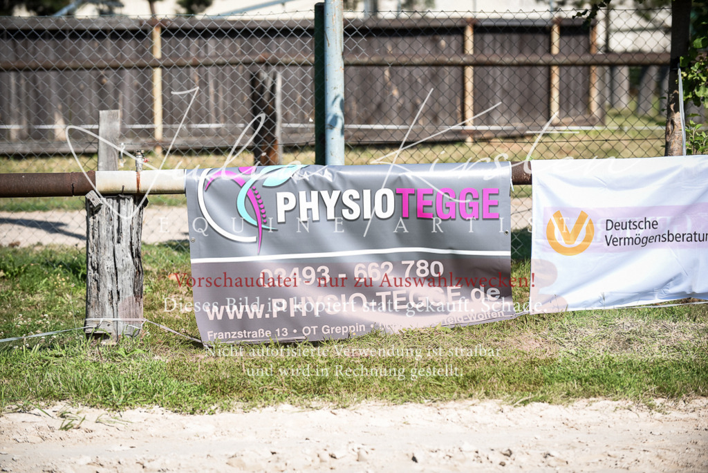 DSC_9699 | Pferde- und Turnierfotografie in Westsachsen. Pferdeportraits, Auftragszeichnungen und intuitive Kunst.