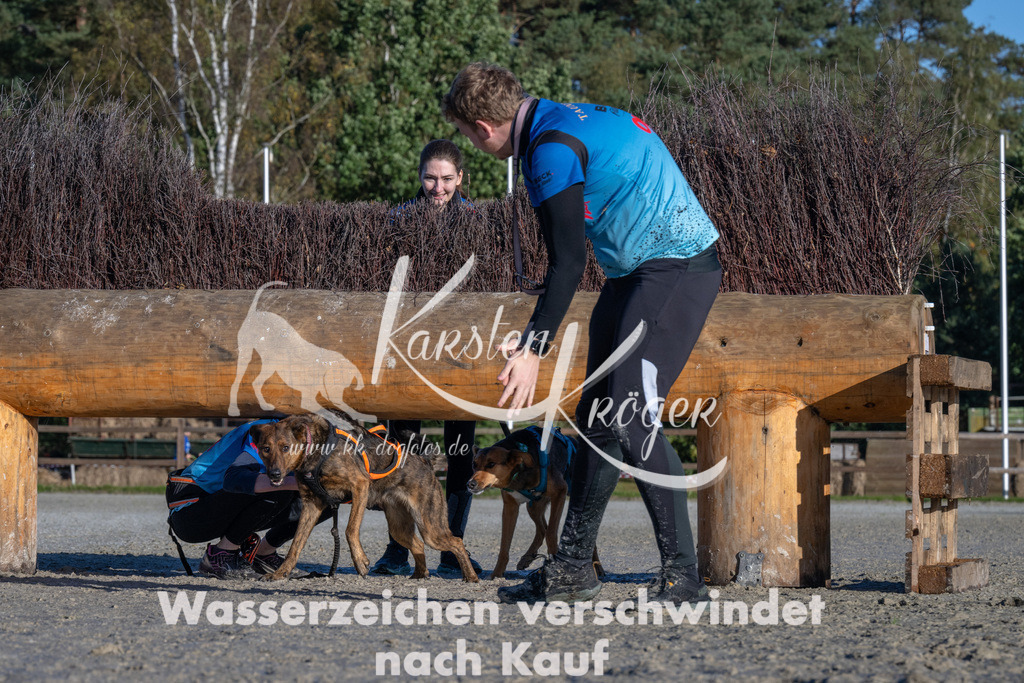 1021-_ZZ90863 | kk-dogfotos