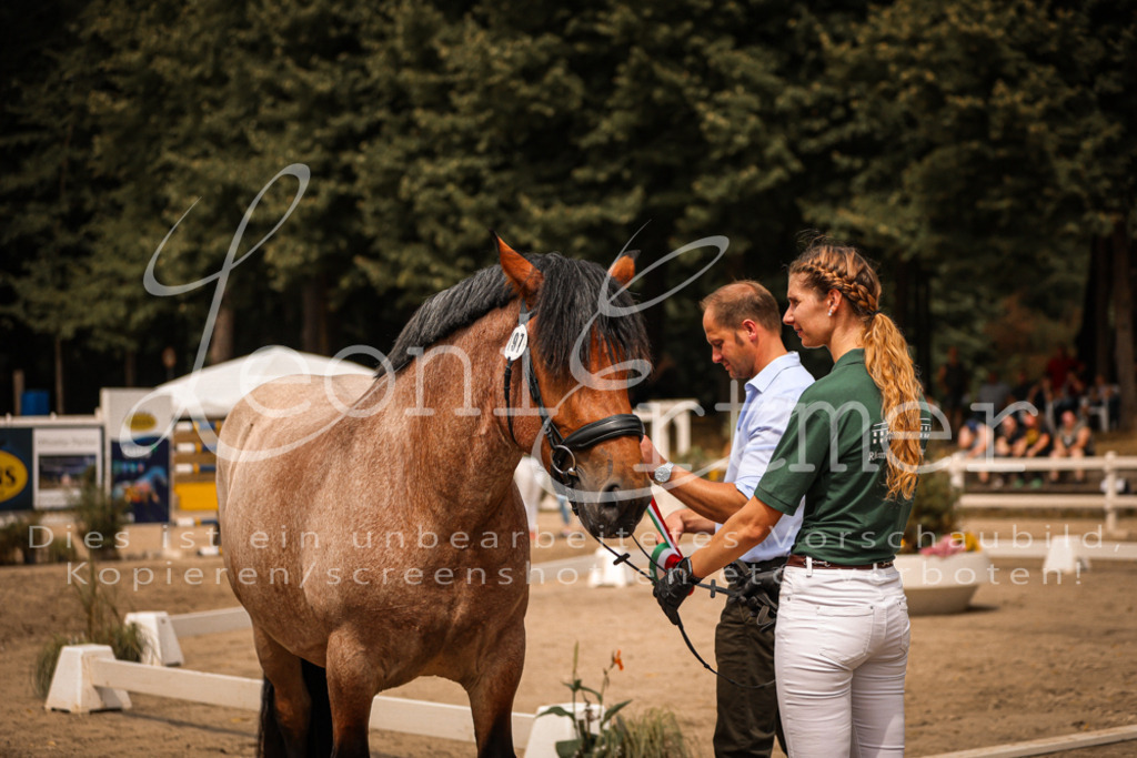 SaSieger00054 | Leoni Ertmer Photography - Realisiert mit Pictrs.com