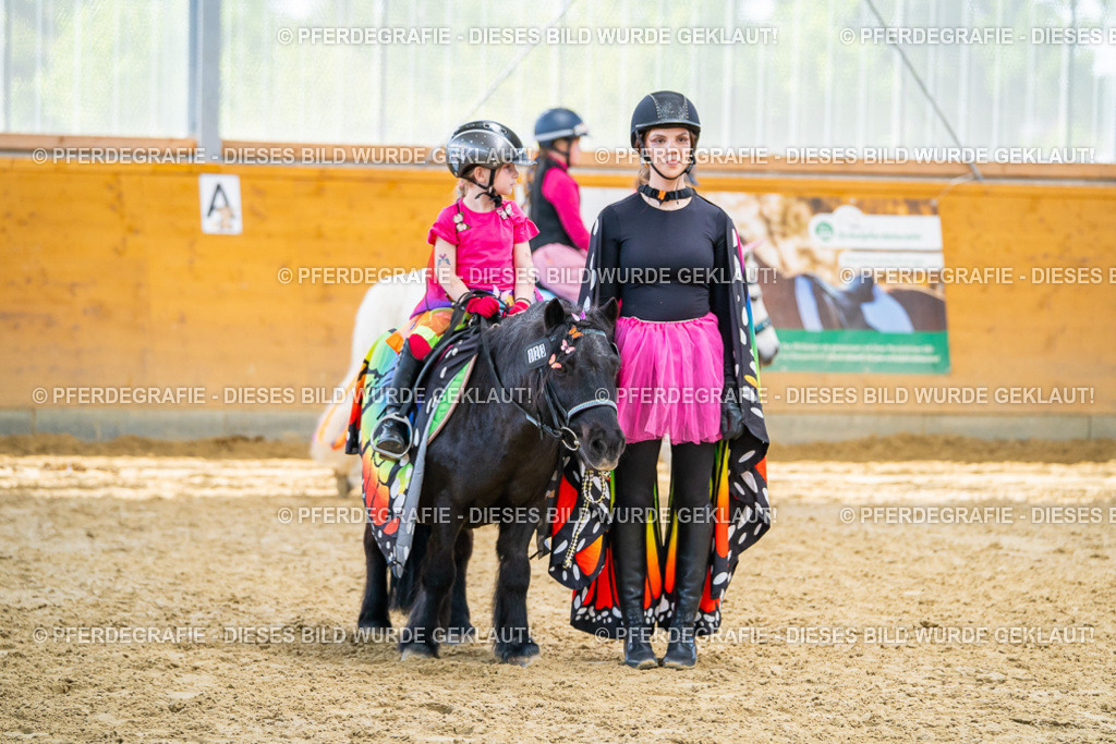 DSC00759 | Pferdegrafie