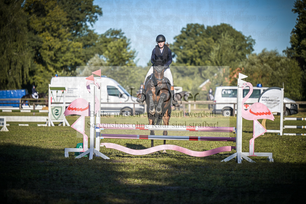 DOS_0066 | Entdecke hochwertige Reitturnierfotos von Foto Oger. Professionell, emotional und authentisch – jetzt Lieblingsmomente im Shop bestellen.Deutschlandweite Turnierfotografie. - Realisiert mit Pictrs.com