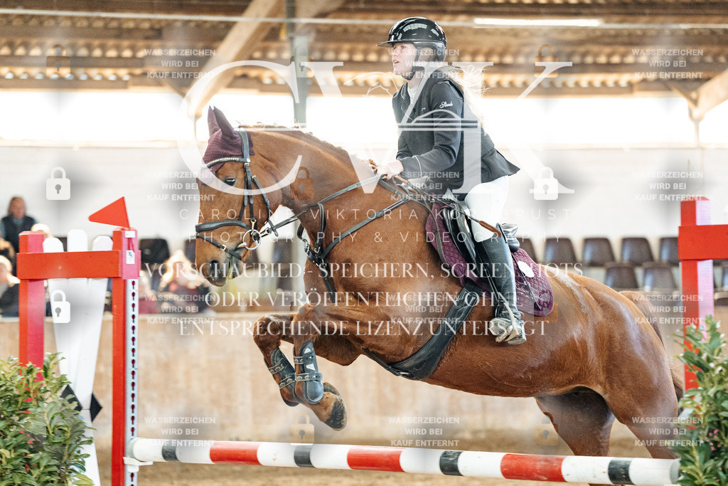 CK904745 | Turnierfotografie Pferdefotografie Trier Rheinland-Pfalz Pferdesport Reitsport Tierfotografie Sportfotografie Pferdevideo Pferdevideografie Equestrianvideography equestrianphotography  - Realisiert mit Pictrs.com
