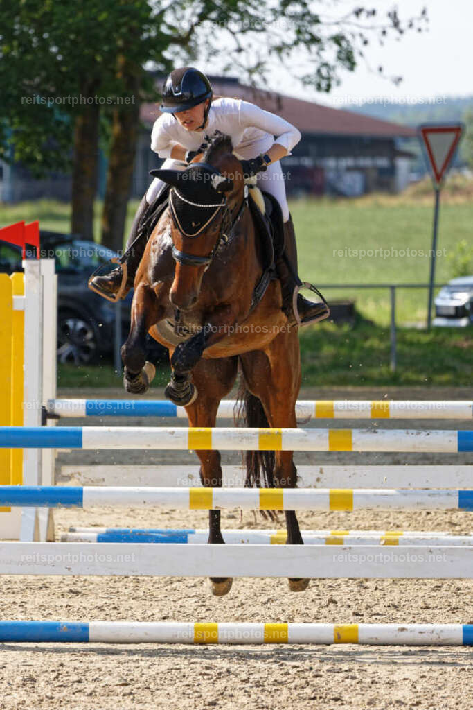 JHE_5236 | JoYa Fotografie - Realisiert mit Pictrs.com
