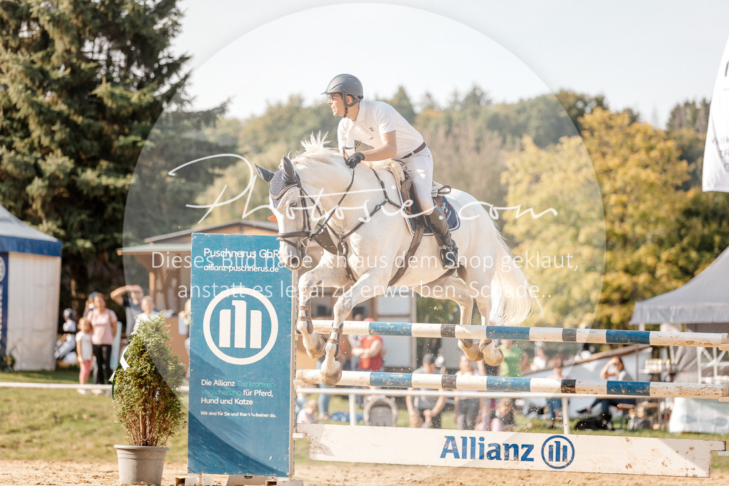 3I6A5074 | Stimmungsvolle Portraits und Reitsportfotografie im Ruhrgebiet und im Münsterland.

Pferdefotografie, Hundefotografie, Tierfotografie, Reportagen, Portraits von Tier und Mensch, Turnierfotografie in Bochum, Recklinghausen, Marl, Haltern am See, Dülmen.. - Realisiert mit Pictrs.com