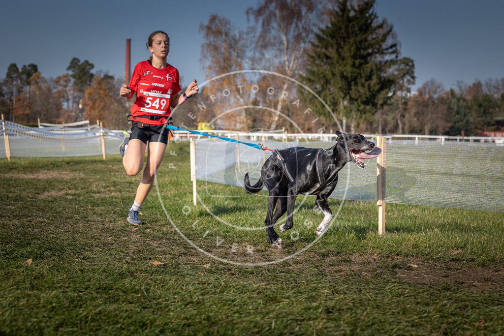 CaniXpix_0L8A9068 | Hundefotografie, Tierfotograf, Pfotenfotografie, Fotoshooting Hund, Hunde Portrait, Hundesport, Hundeportraits, Heideshooting, Hunde, Sportfotograf, Hundefotograf, Turnierhundsport, THS,  - Realisiert mit Pictrs.com