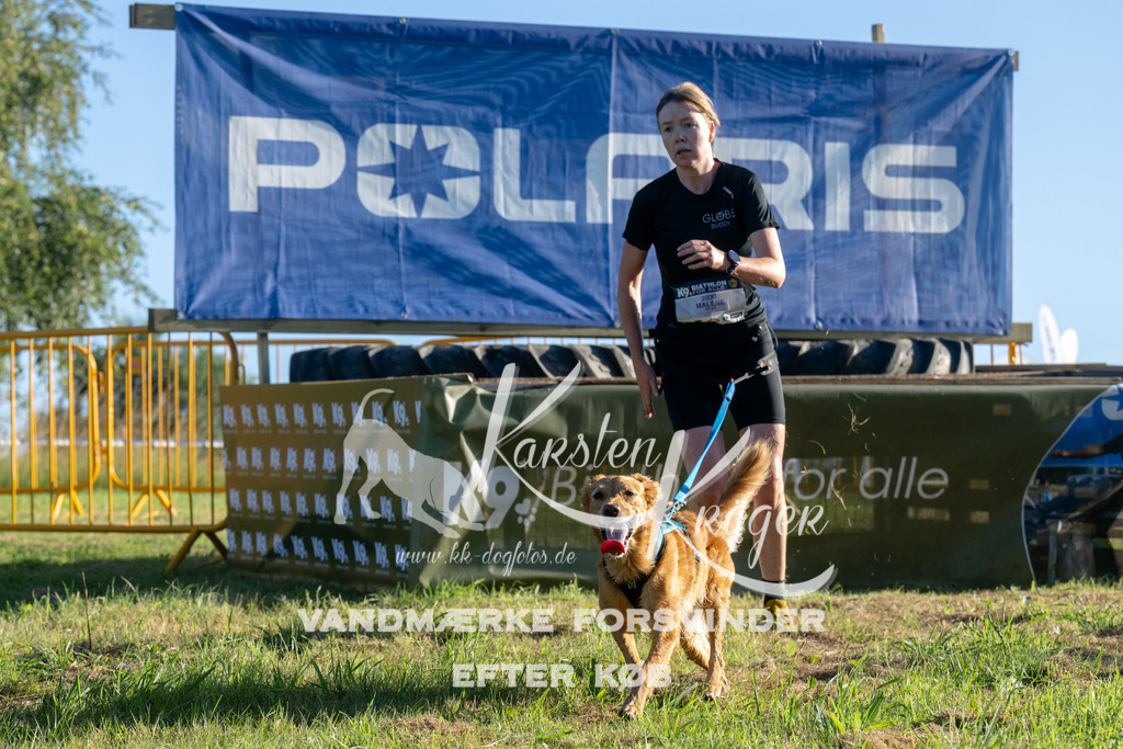 0815_ZZ92849 | kk-dogfotos