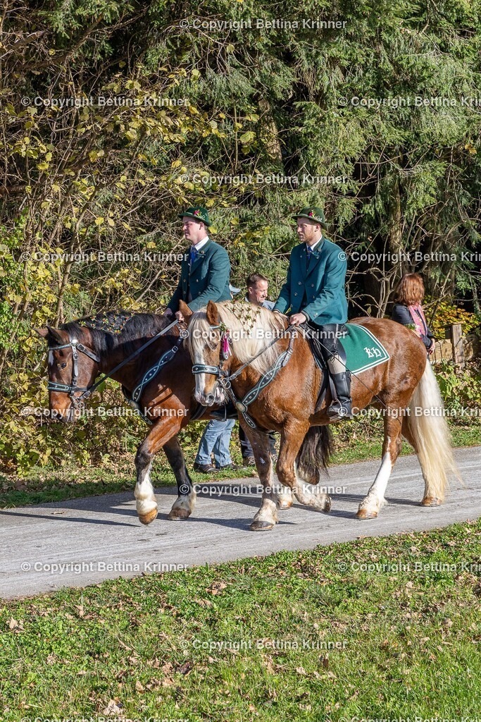 LBT24-511 | foto-bettina-krinner - Realisiert mit Pictrs.com