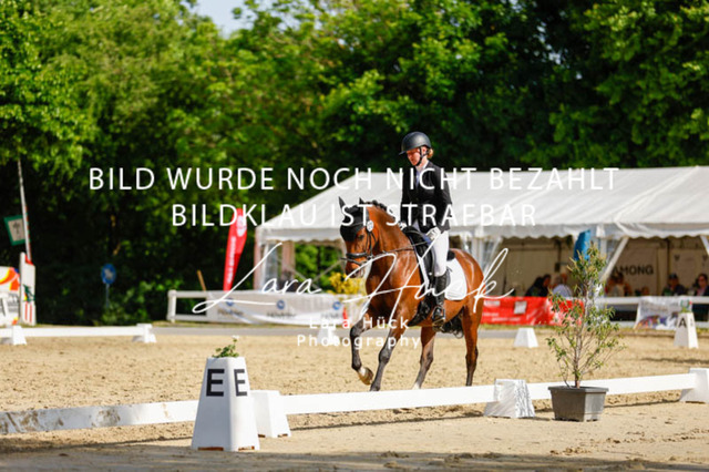 _62_2718 | larahueckfotografie