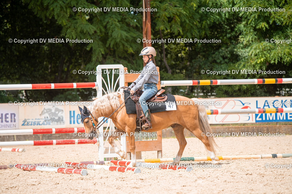 EWP_6659 | dv-media-shop - Realisiert mit Pictrs.com