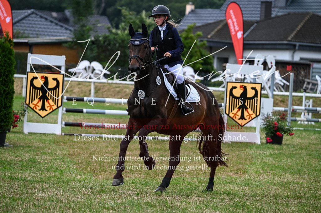 DSC_8572 | Pferde- und Turnierfotografie in Westsachsen. Pferdeportraits, Auftragszeichnungen und intuitive Kunst.
