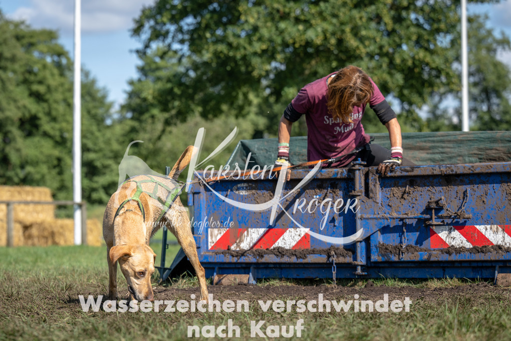 1429_ZZ91299 | kk-dogfotos