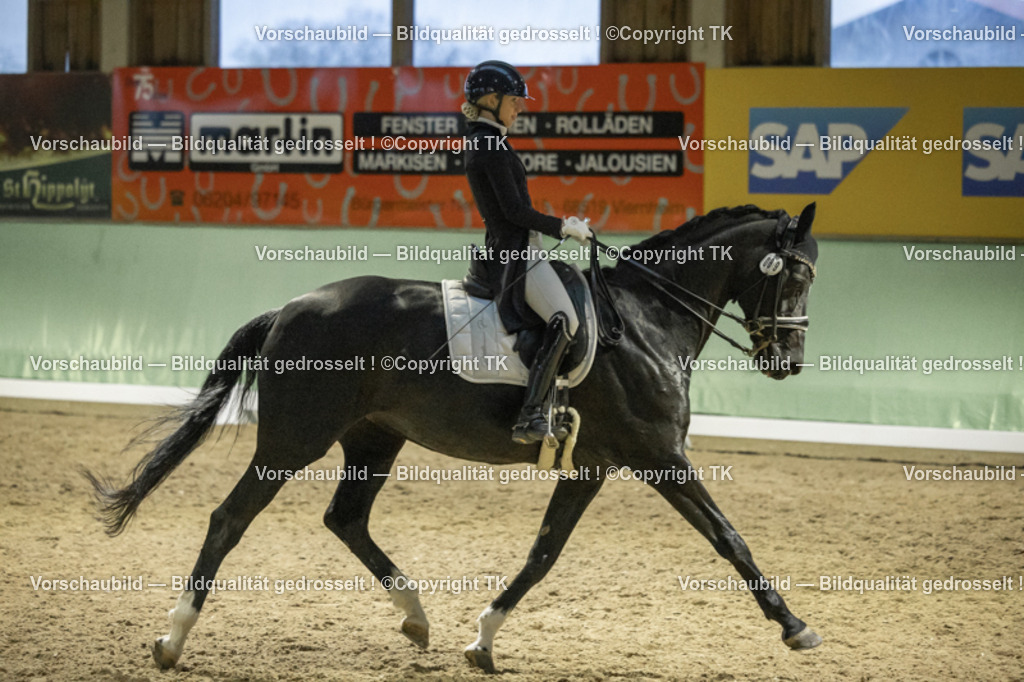 _D5A7364 | Emotionale Pferde- & People-Fotografie rund um Heidelberg, Leimen & Umgebung. Natürliche Fotos von Pferd, Mensch & Familie. Jetzt Termin sichern!