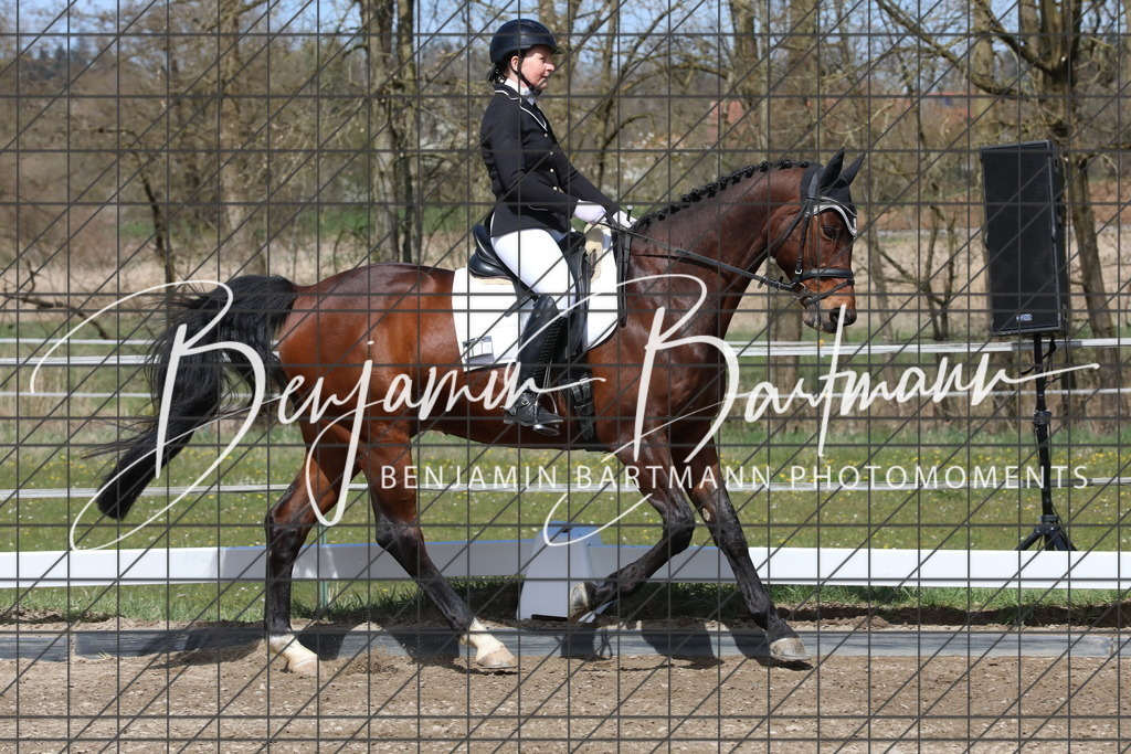 AZ2A3943 | Benjamin Bartmann Photomoments